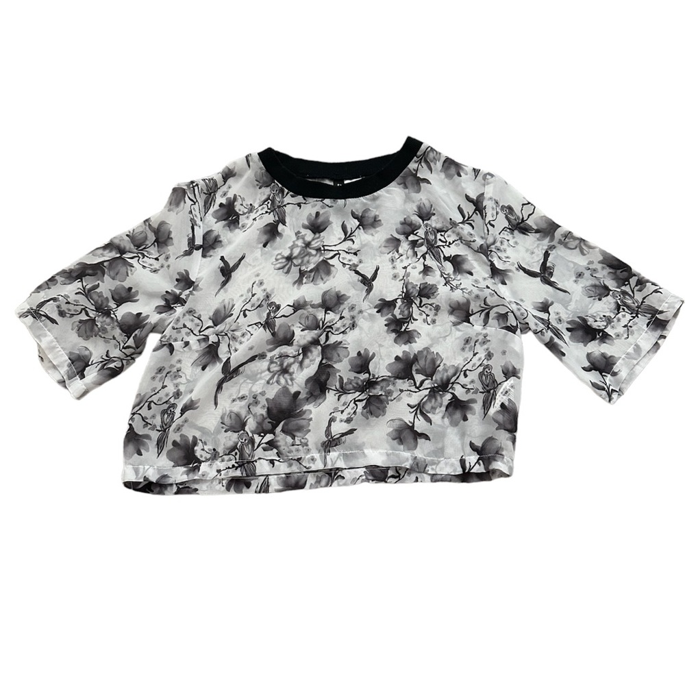 Crop Top See thru shirt